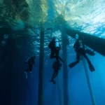 Dive Class Hero 150x150