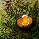 IMG 4841 E1742786943970 150x150