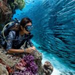 MessageImage 1745561702615 150x150