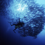 深海探秘 12 150x150