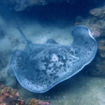 20230723 2023 07 23 09 28 IMG 7987 150x150