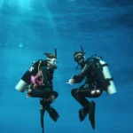 AnyConv.com 4ccba703 7a34 40c9 Bf73 76424c636a2b Scaled E1747018266137 150x150