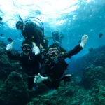 AnyConv.com 游泳與潛水 008 150x150