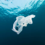 Istockphoto 1191344909 612x612 1 150x150