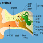 耳朵 中文版 01 150x150