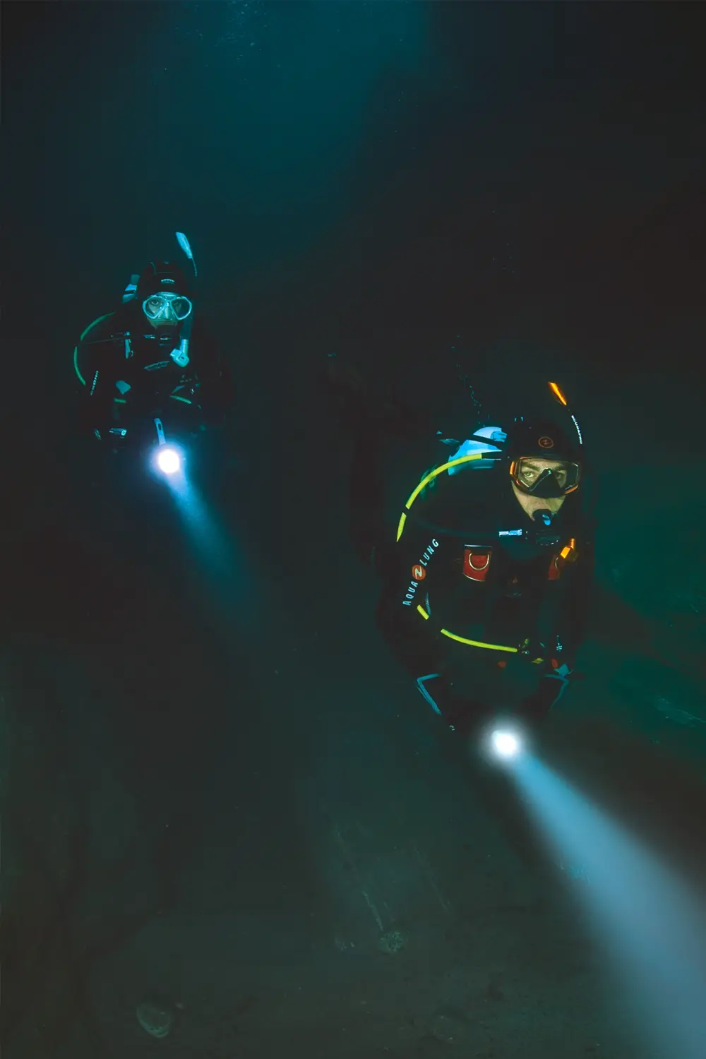 night dive